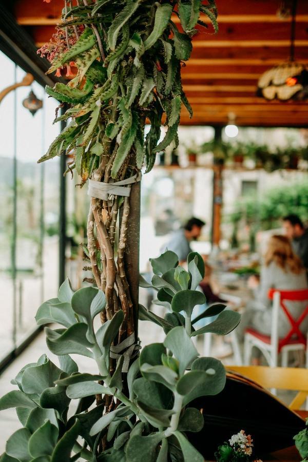 Eco Farm Boutique Hotel Turgutreis Esterno foto
