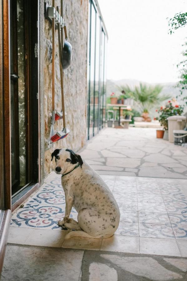 Eco Farm Boutique Hotel Turgutreis Esterno foto