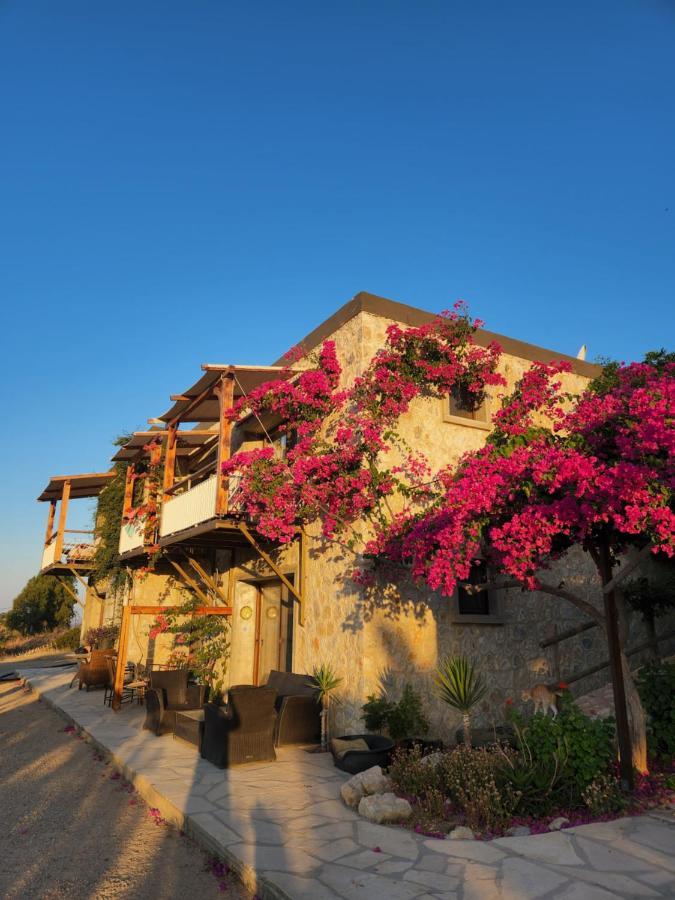 Eco Farm Boutique Hotel Turgutreis Esterno foto
